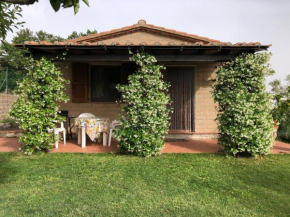  Casa La Mimosa   Эльмо